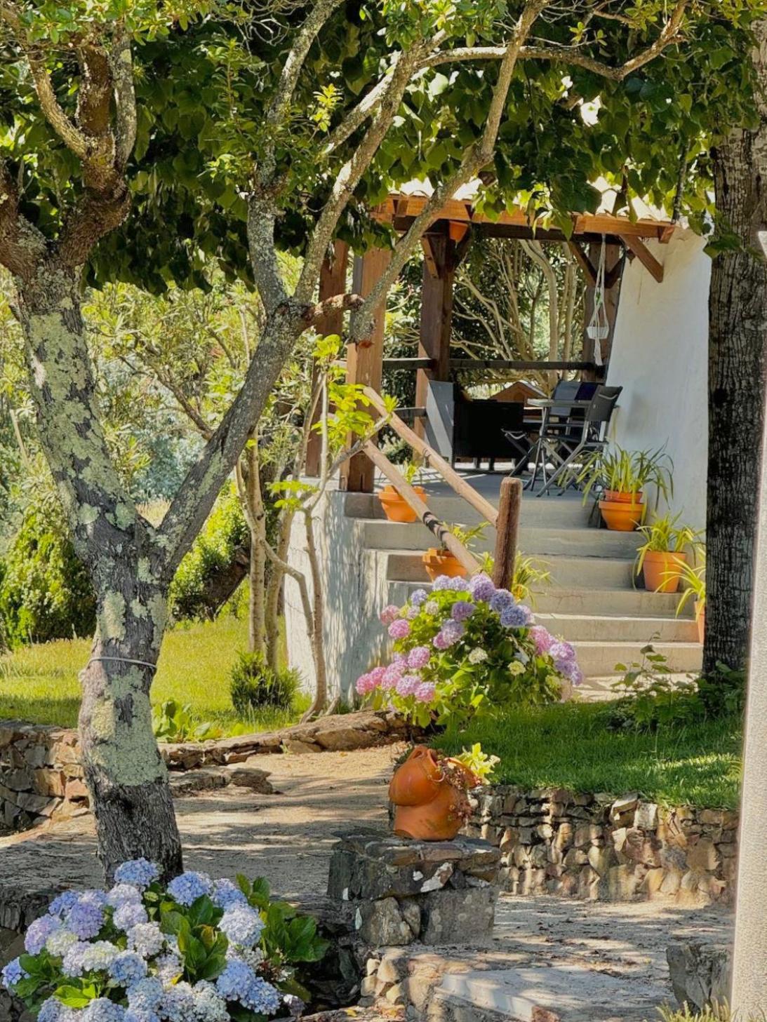 O Moinho De Vale Da Mo Villa Anadia Ngoại thất bức ảnh